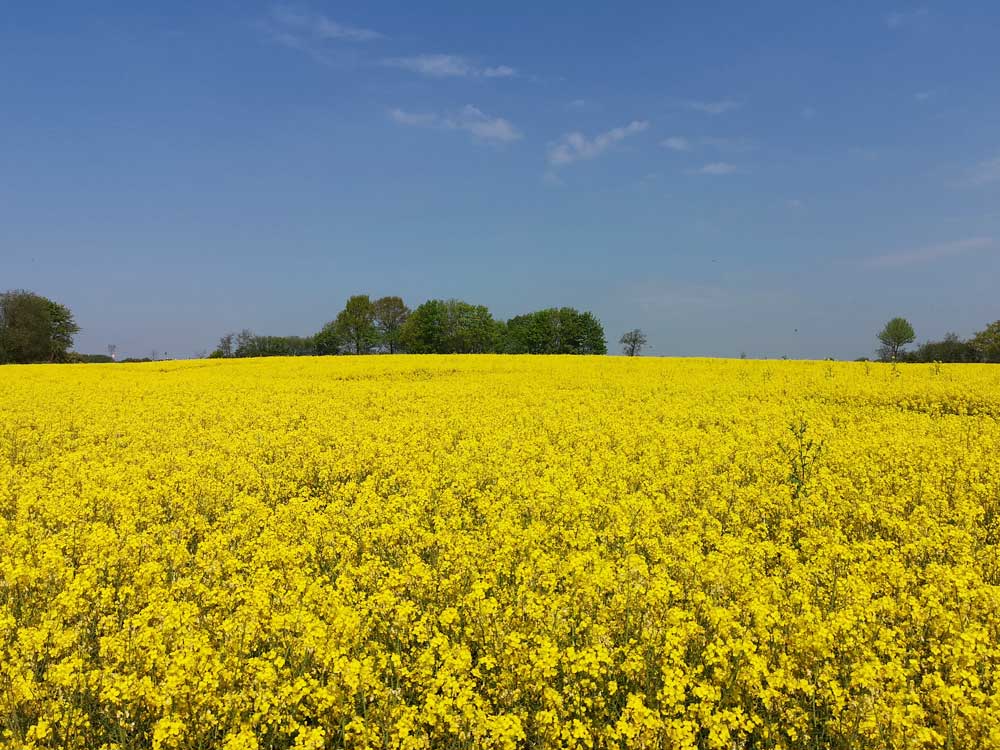 Umgebung - Umfeld